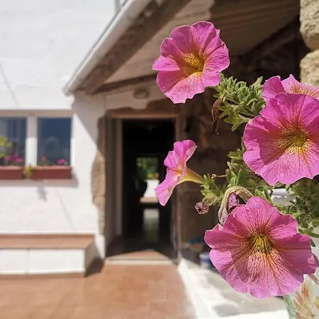 Casa Sacabeira - Doninos Nyaraló *